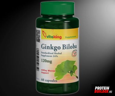 Vitaking Ginkgo Biloba 120 mg