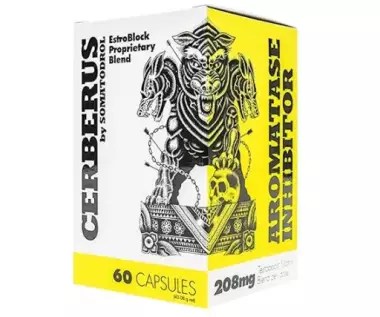 Iridium Labs Cerberus 