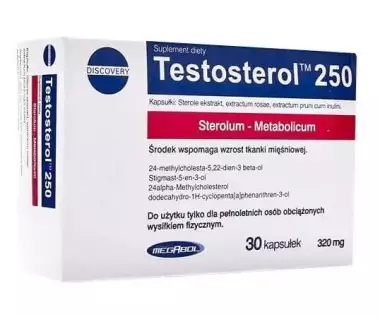 MegaBol Testosterol 250
