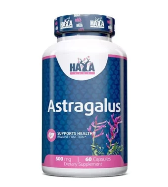 Haya Labs Astragalus
