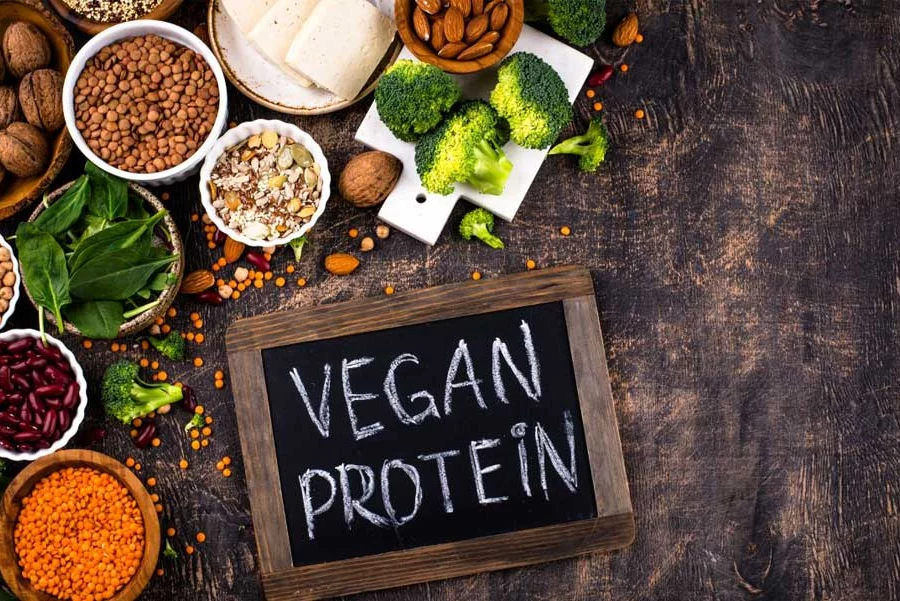 Növény vs állati fehérjék! Növény vs állati fehérjék!