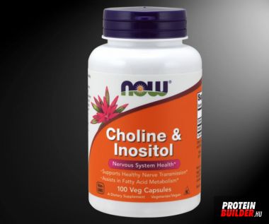 Now Foods Choline & Inositol 500 mg  
