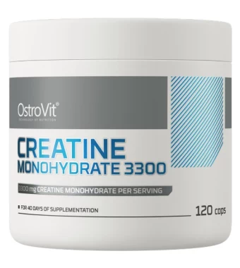 OstroVit Creatine 3300/120 caps