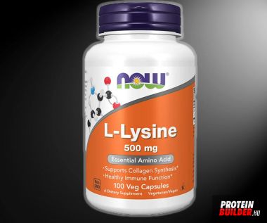 Now Foods L-Lysine 500 mg