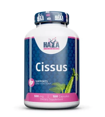 Haya Labs Cissus 500 mg