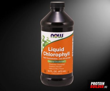 Now Foods Liquid Chlorophyll 473 ml