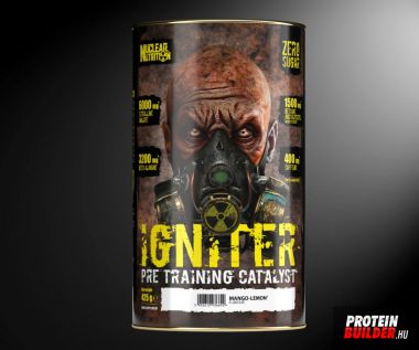 Nuclear Nutrition Igniter pre training catalyst