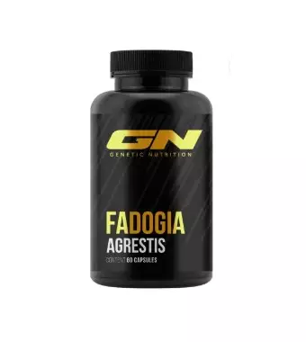 GN Fadogia Agrestis