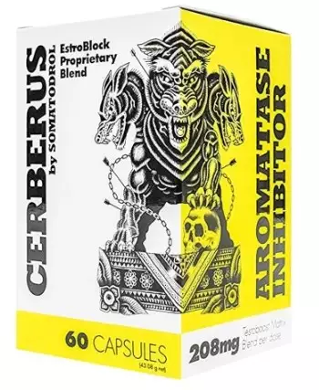 Iridium Labs Cerberus 