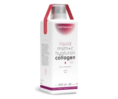 Nutriversum MSM+C Hyaluron Collagen Liquid 